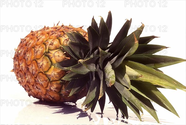 Ananas