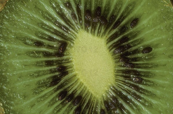 Kiwi