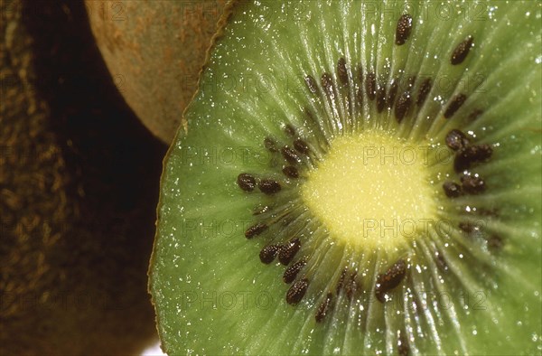 Kiwi