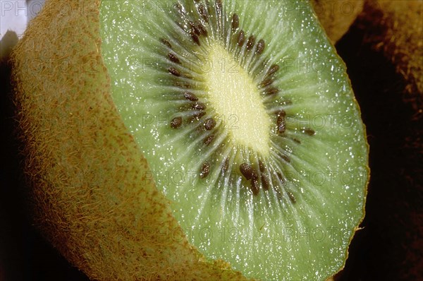 Kiwi