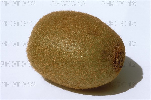 Kiwi