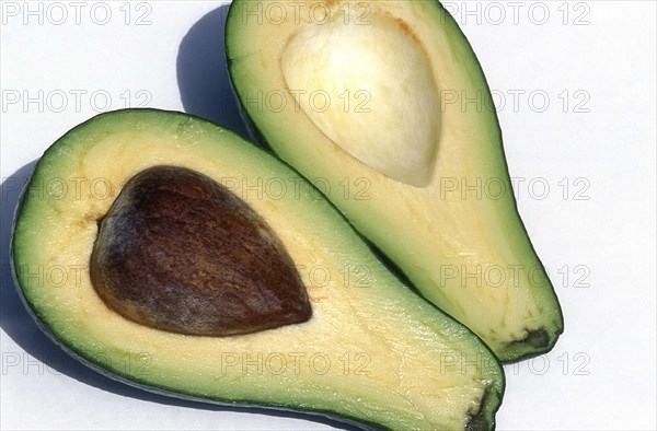 Avocat