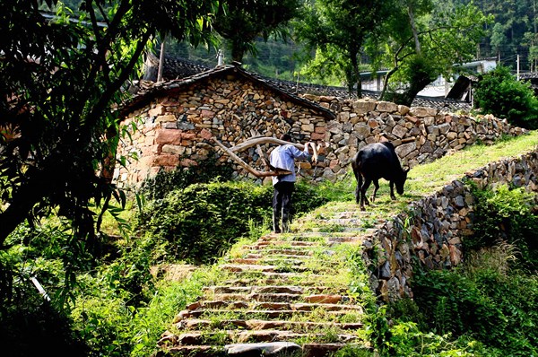 Village de Ruian en Chine