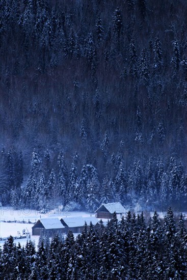 Kanas (Chine) en hiver