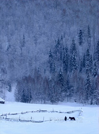 Kanas (Chine) en hiver