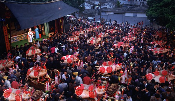 Cochons sur leur palanquin pendant la fête du printemps en Chine