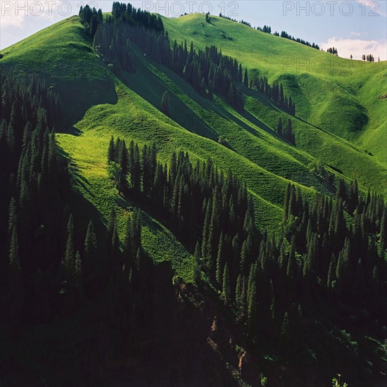 Chine : région Hanas, Xinjiang