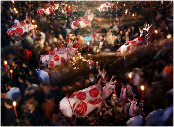 Chine: Les cochons sur leur palanquin pendant la fete du printemps