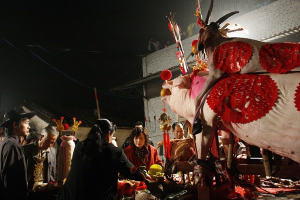 Chine: Les cochons sur leur palanquin pendant la fete du printemps