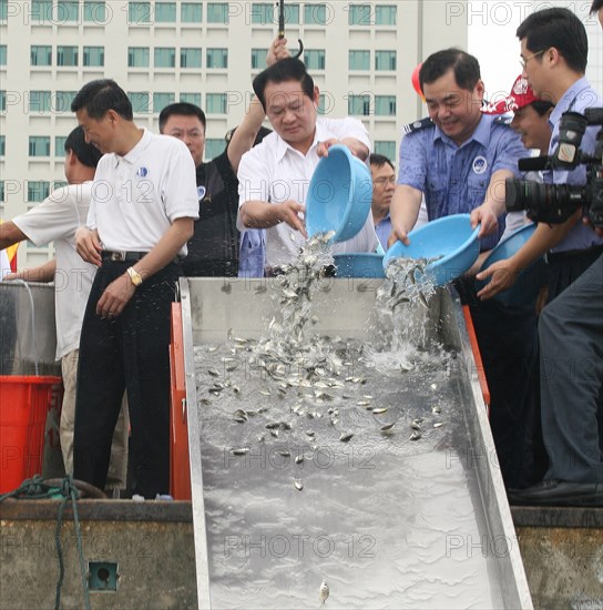 Chine: festival de relacher les alvins dans la mer