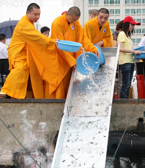 Chine: festival de relacher les alvins dans la mer