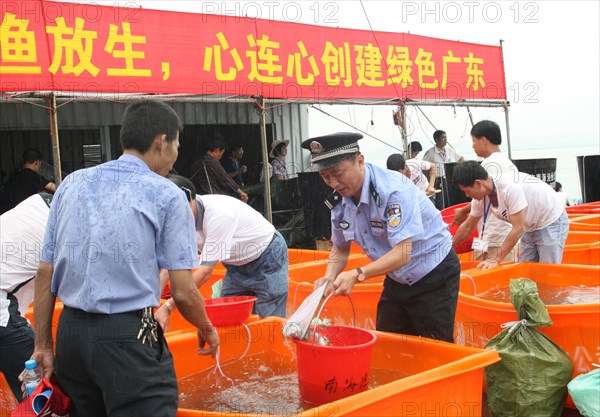 Chine: festival de relacher les alvins dans la mer