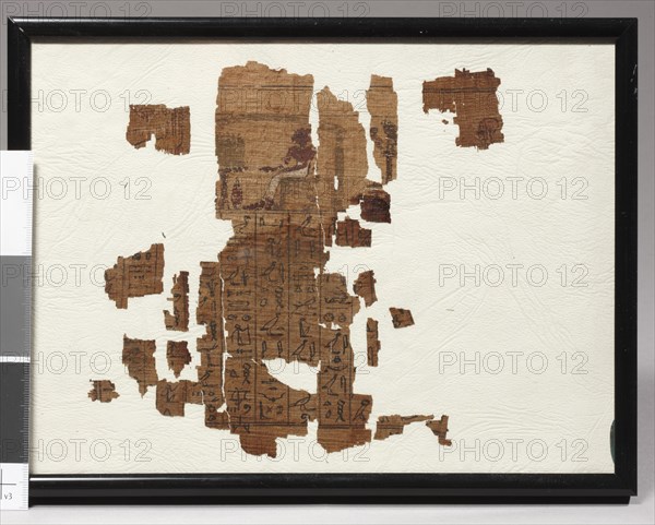 Two egyptian fragmentary papyri