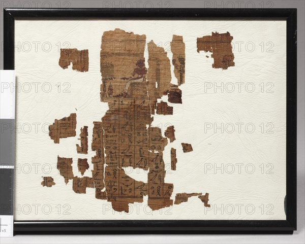 Papyrus fragmentaires