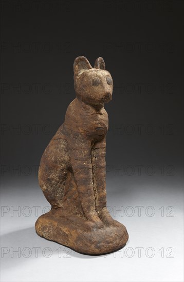 Egyptian false cat mummy