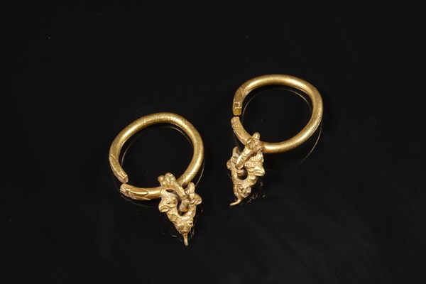 Paire de boucles d'oreilles