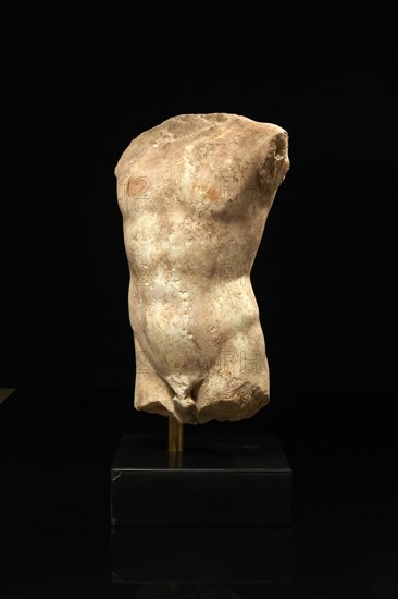 Roman male torso