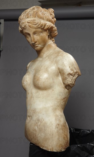 Roman Hermaphrodite bust