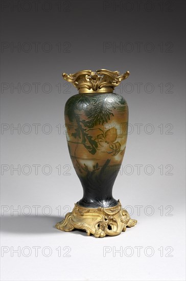 Vase Daum