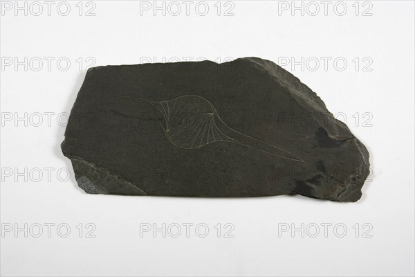 Intaglio engraved slate