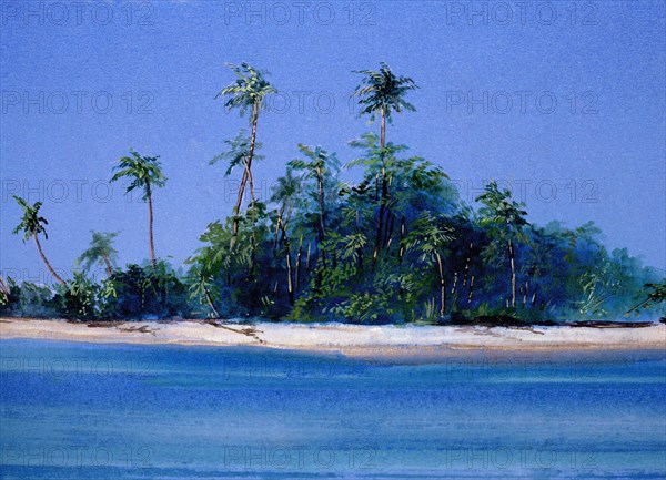 Painted canvas tarp. Desert island