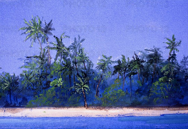 Painted canvas tarp. Desert island