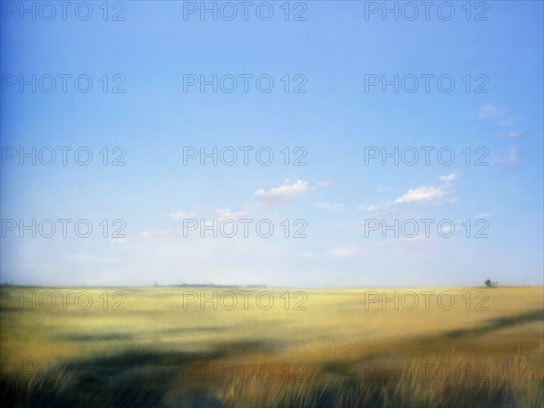 Painted canvas tarp. Rural landscape