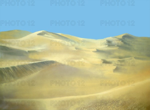 Painted canvas tarp. Desert landscape