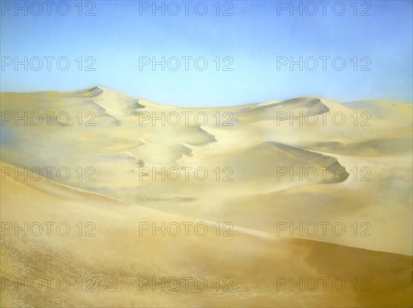 Painted canvas tarp. Desert landscape