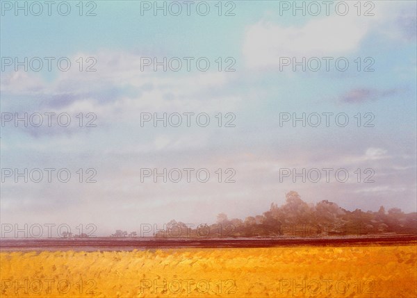 Painted canvas tarp. Landscape