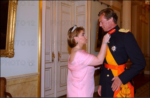 06/22/2002.  Reception at the Grand Ducal palace as part of celebration of first anniversary of the accession of Grand Duke Henri to the throne of Luxembourg.