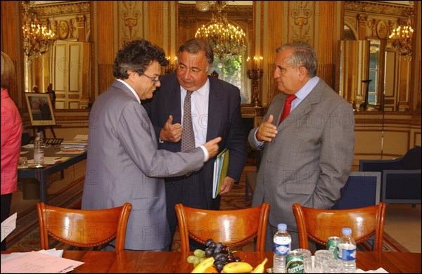 06/30/2004. EXCLUSIF. Jean-Louis Borloo, Ministre de l'Emploi, du Travail et de la Cohesion sociale, reçoit a son bureau Jean-Pierre Raffarin, Premier Ministre, avant la conference de presse presentant le Plan de cohesion sociale.