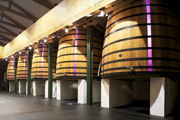 Château Mouton Rothschild, the Vat Room