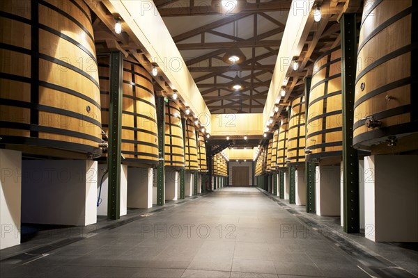 Château Mouton Rothschild, the Vat Room