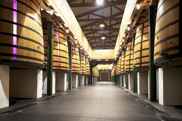 Château Mouton Rothschild, the Vat Room