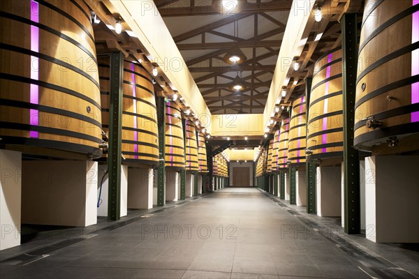 Château Mouton Rothschild, the Vat Room