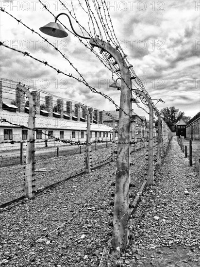 Camp d'Auschwitz-Birkenau