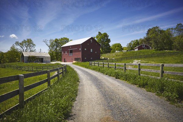 Farm of Dan Colen