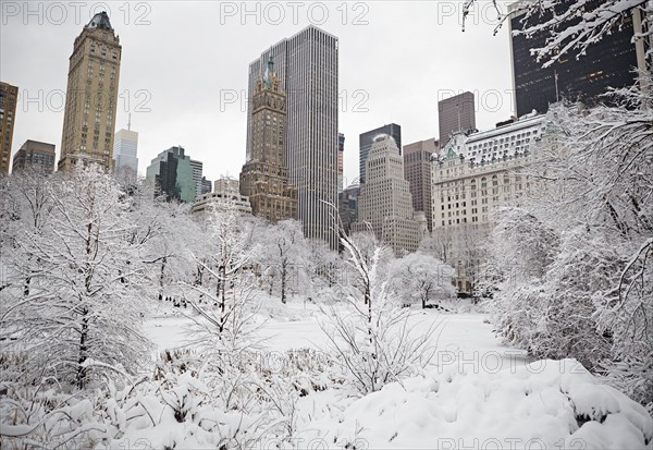 Central Park en hiver, New York