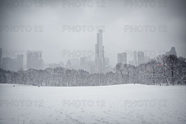 Central Park en hiver, New York