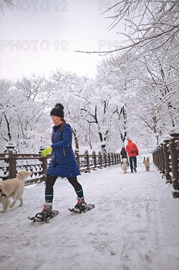 Winter in Central Park, NYC