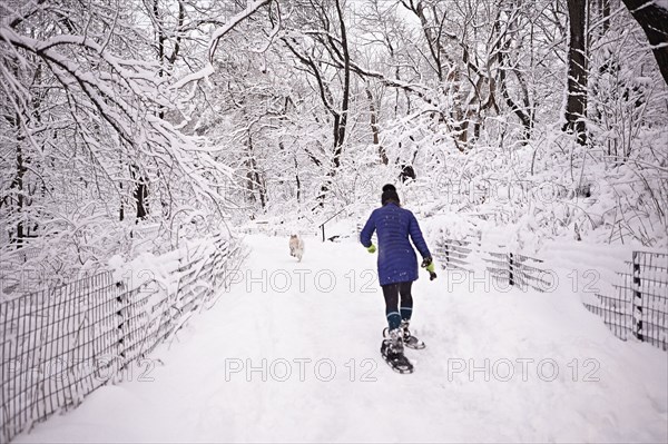 Central Park en hiver, New York