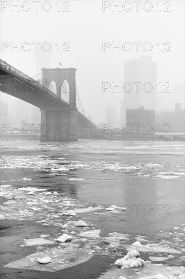 Brooklyn bridge, NYC