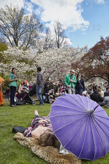 Jardin botanique de New York