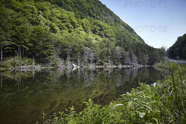 Reportage in the Catskill Mountains