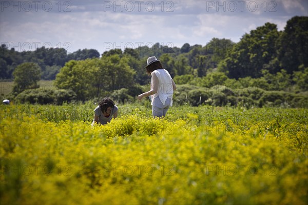 Reportage dans les montagnes Catskills