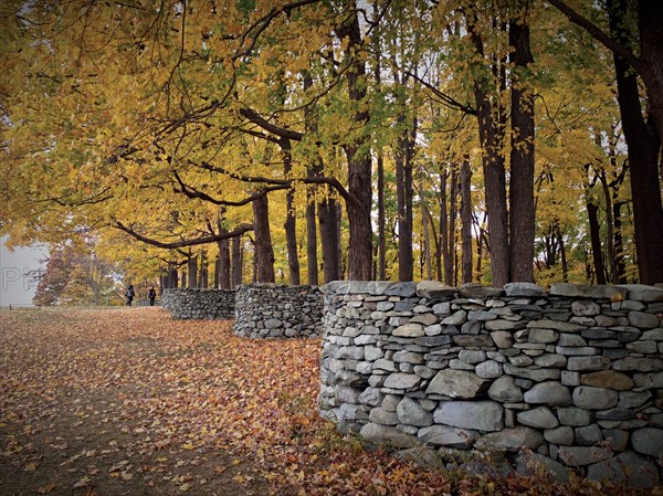 Le Storm King Art Center