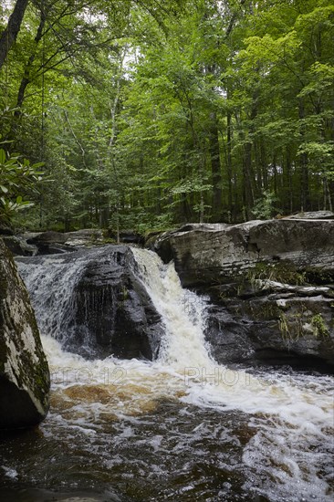 Chez Amibka Conroy dans les montagnes Catskills, 2018