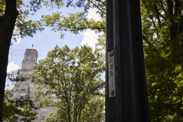 Reportage : le secret des lampadaires de Central Park