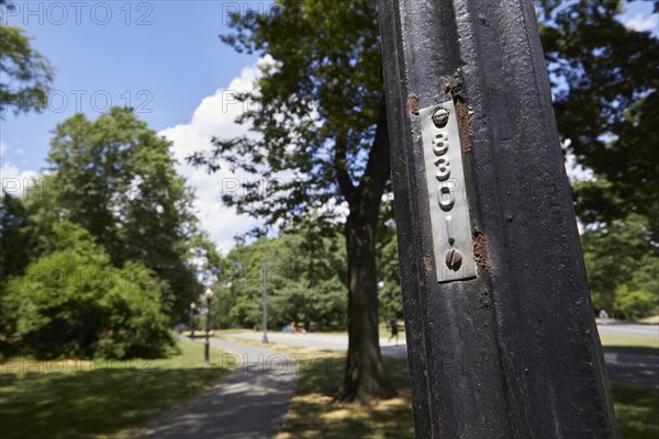 Feature: the mysterious numbers on Central Park street lamps